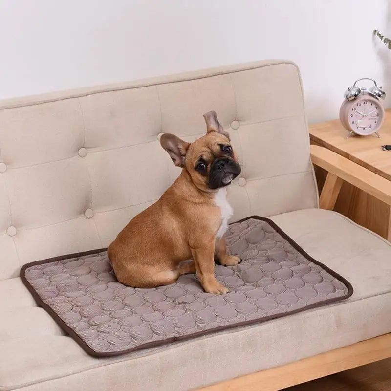 Cooling Mat for Dogs