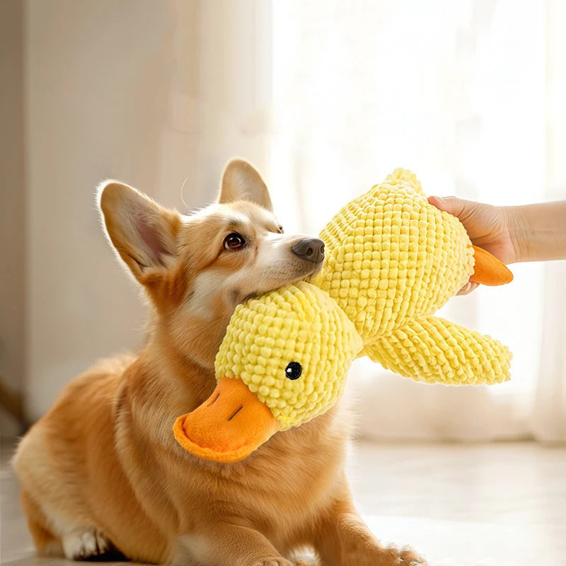 FurlioPets Squeaky Anti-Stess Duck Toy