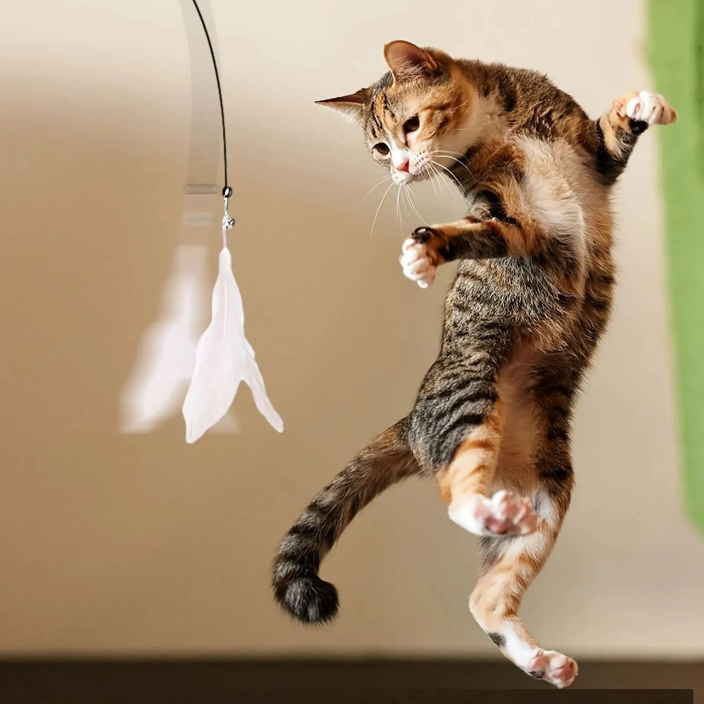 Cat teaser with suction cup and feather