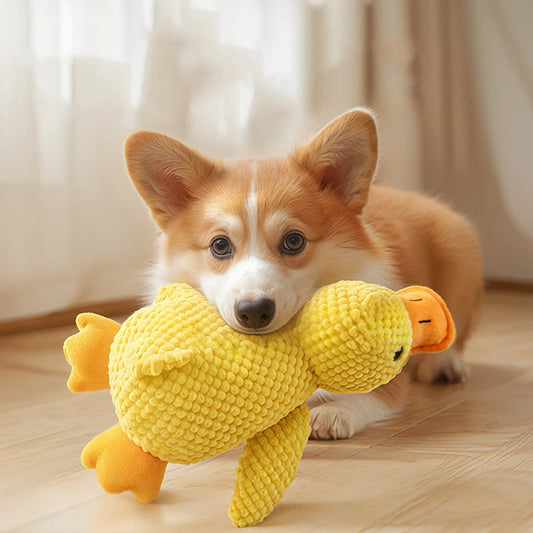 FurlioPets Squeaky Anti-Stess Duck Toy